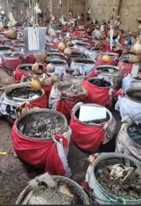 Displayed pots of Oke Ite 